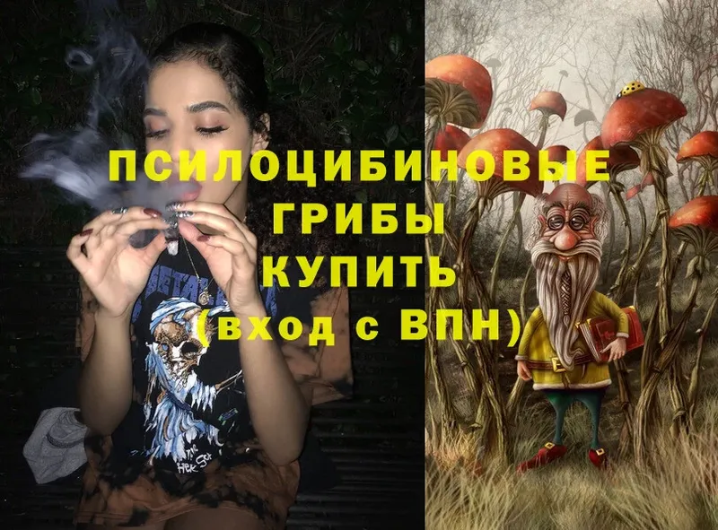 Галлюциногенные грибы Cubensis  купить  цена  Аксай 